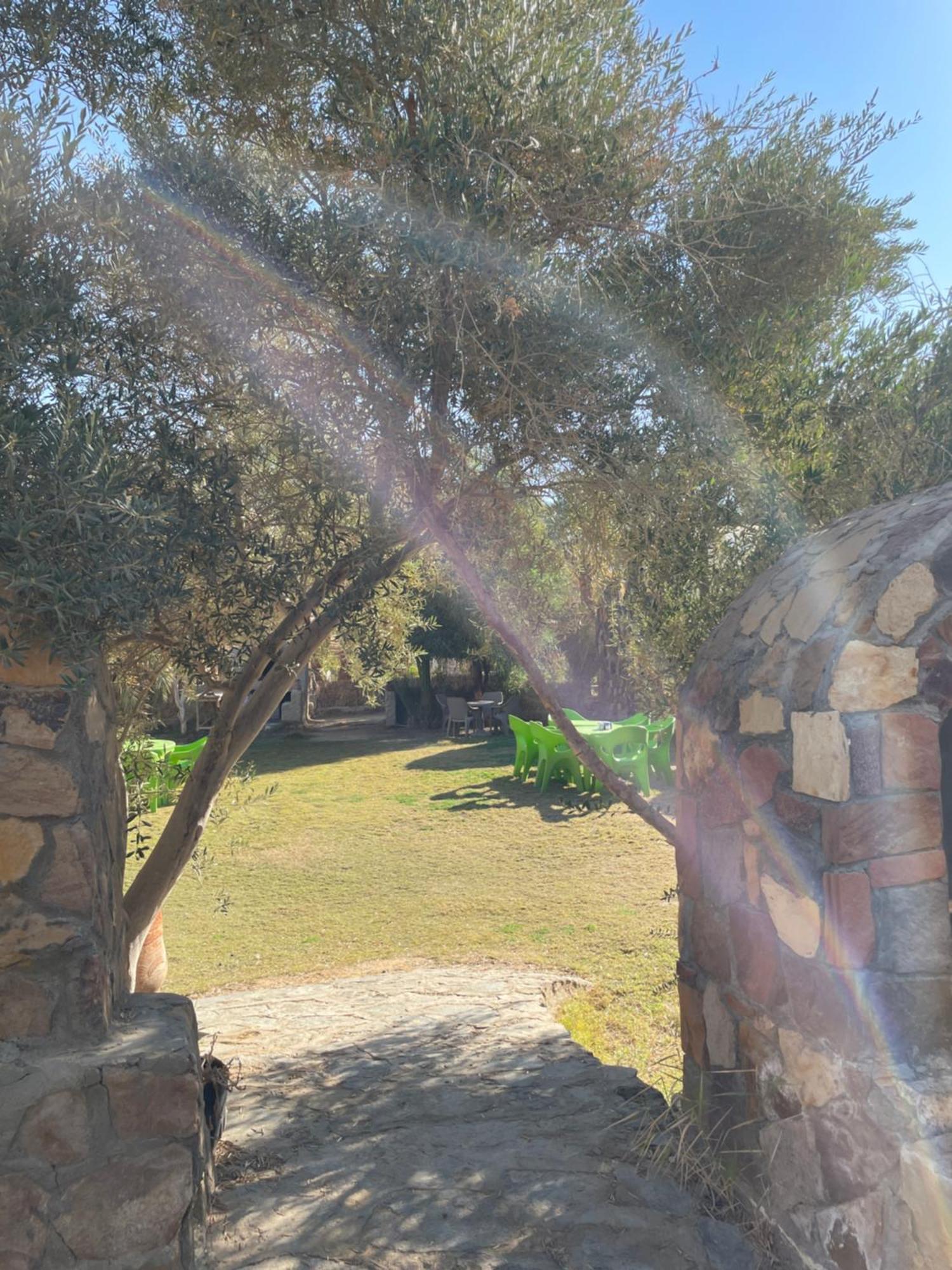 Ahmed Safari Camp 호텔 Bawati 외부 사진
